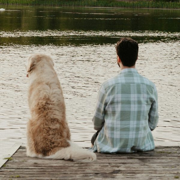 Golden retriever and person sitting on a dock by the water